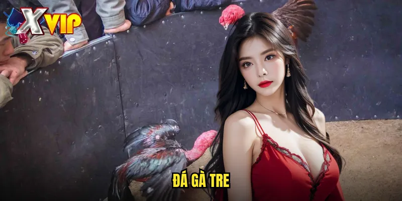 Đá Gà Tre Xvip - Cá Cược Đá Gà Nòi Việt Truyền Thống 1 Đá Gà Tre