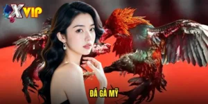 Đá Gà Mỹ