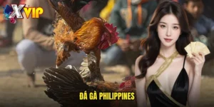 đá gà Philippines