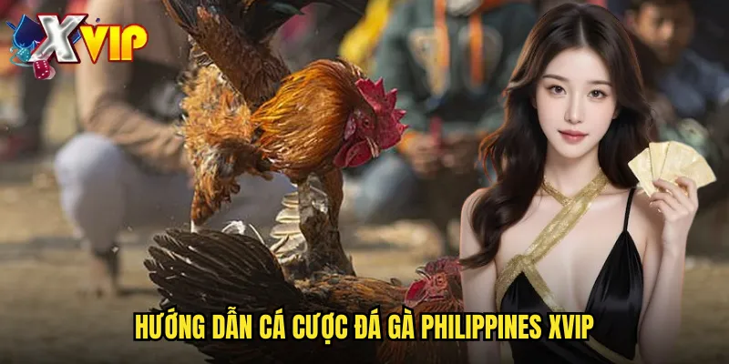 Hướng dẫn cá cược đá gà Philippines xvip