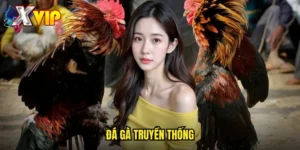 đá gà truyền thống