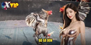 đá gà đòn