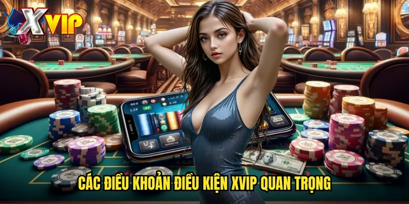 Các điều khoản điều kiện xvip quan trọng