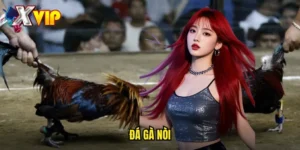 đá gà nòi