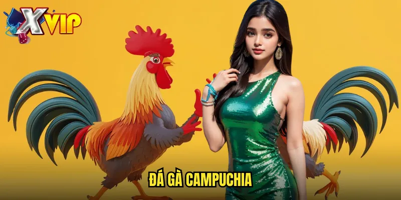đá gà Campuchia