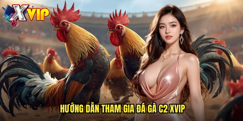 Đá Gà C2 Xvip - Nền Tảng Cá Cược Uy Tín Hàng Đầu 3 Hướng dẫn tham gia đá gà c2 xvip