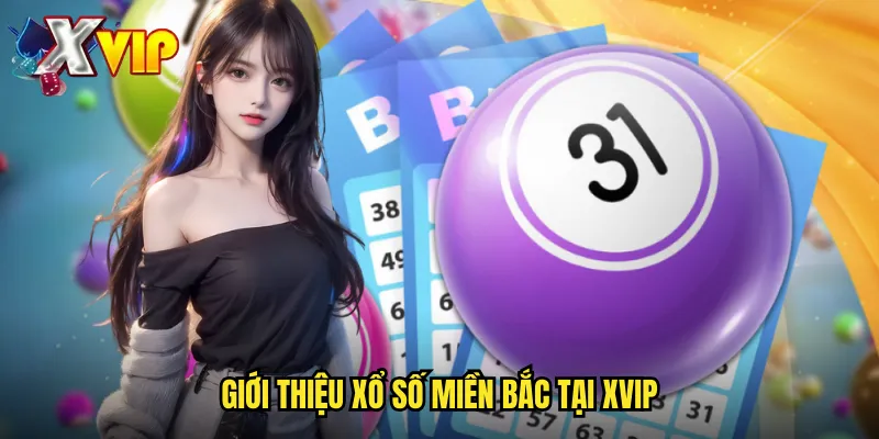 Xổ Số Miền Bắc Xvip - Trực Tiếp Kết Quả Nhanh Nhất 2 Giới thiệu xổ số miền Bắc tại xvip