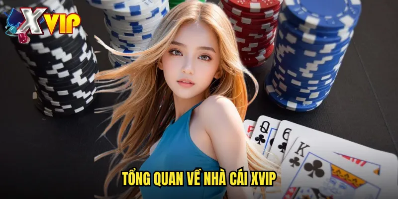 Tổng quan về nhà cái Xvip