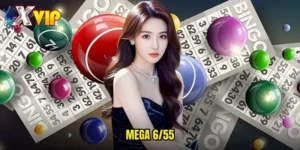 Mega 6/55