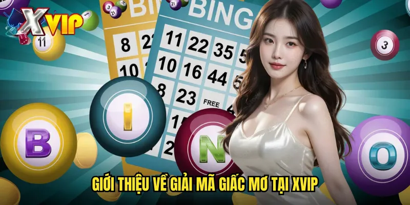 Giải Mã Giấc Mơ Xvip - Bộ Hướng Dẫn Toàn Diện Về Các Giấc Mơ 2 Giới Thiệu Về Giải Mã Giấc Mơ Tại Xvip